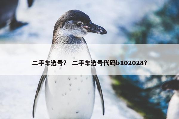 二手车选号？ 二手车选号代码b102028？