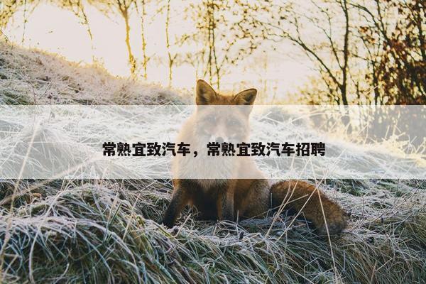常熟宜致汽车，常熟宜致汽车招聘