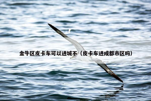 金牛区皮卡车可以进城不（皮卡车进成都市区吗）