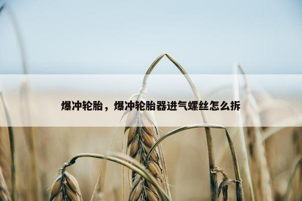 爆冲轮胎，爆冲轮胎器进气螺丝怎么拆