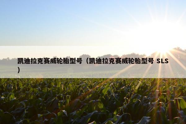 凯迪拉克赛威轮胎型号（凯迪拉克赛威轮胎型号 SLS）