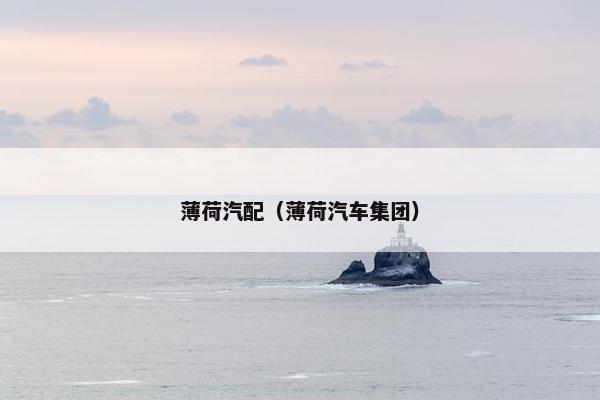 薄荷汽配（薄荷汽车集团）