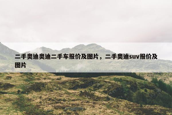 二手奥迪奥迪二手车报价及图片，二手奥迪suv报价及图片