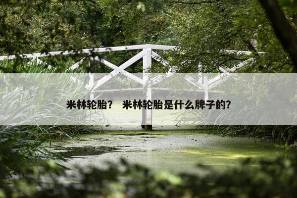 米林轮胎？ 米林轮胎是什么牌子的？