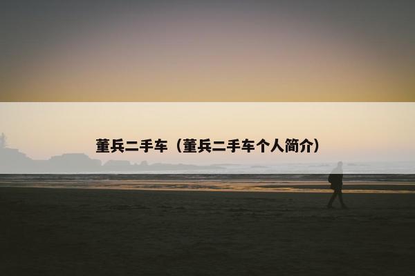 董兵二手车（董兵二手车个人简介）