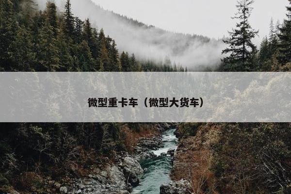 微型重卡车（微型大货车）