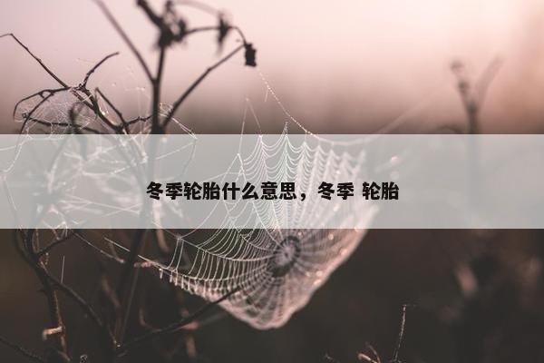冬季轮胎什么意思，冬季 轮胎