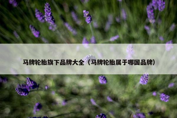 马牌轮胎旗下品牌大全（马牌轮胎属于哪国品牌）