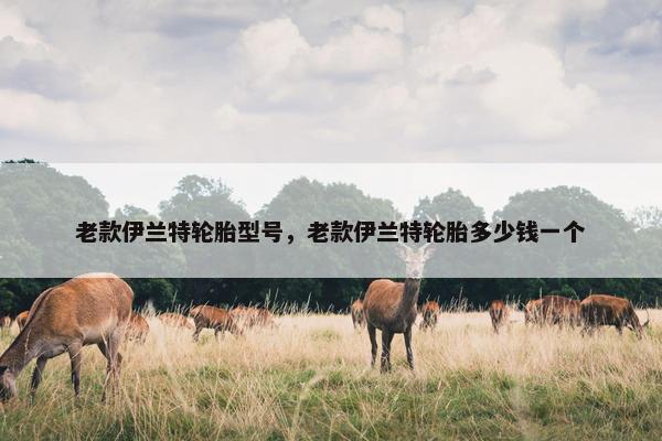 老款伊兰特轮胎型号，老款伊兰特轮胎多少钱一个