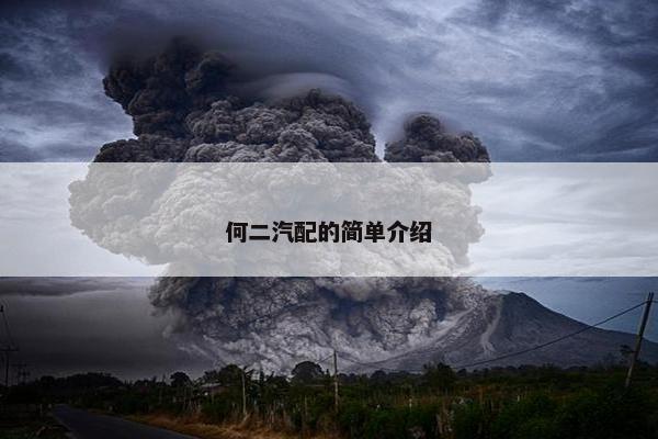 何二汽配的简单介绍