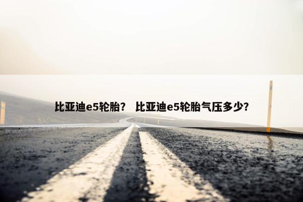 比亚迪e5轮胎？ 比亚迪e5轮胎气压多少？