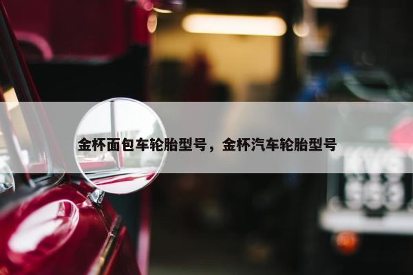 金杯面包车轮胎型号，金杯汽车轮胎型号