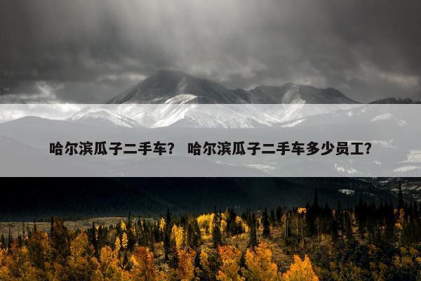 哈尔滨瓜子二手车？ 哈尔滨瓜子二手车多少员工？