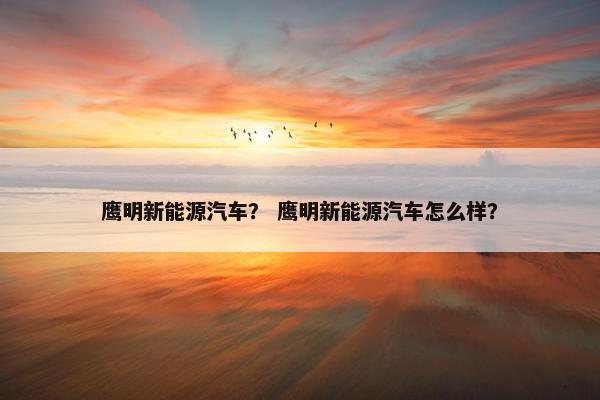 鹰明新能源汽车？ 鹰明新能源汽车怎么样？