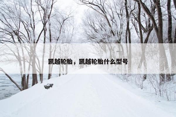 凯越轮胎，凯越轮胎什么型号
