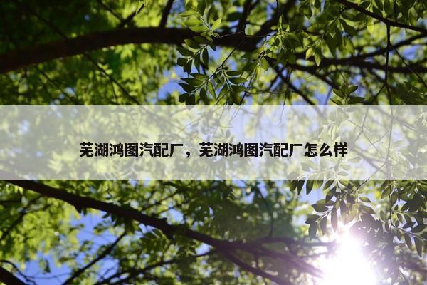 芜湖鸿图汽配厂，芜湖鸿图汽配厂怎么样
