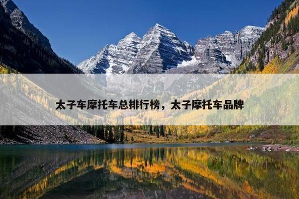 太子车摩托车总排行榜，太子摩托车品牌