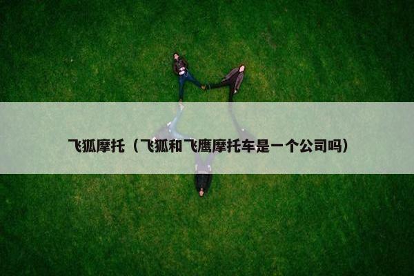 飞狐摩托（飞狐和飞鹰摩托车是一个公司吗）