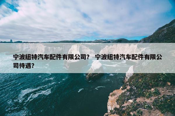 宁波纽特汽车配件有限公司？ 宁波纽特汽车配件有限公司待遇？