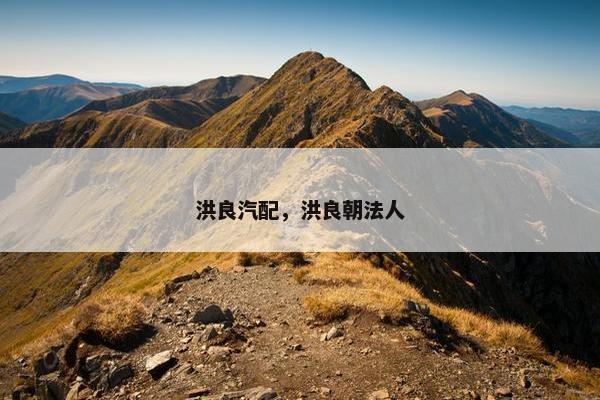 洪良汽配，洪良朝法人