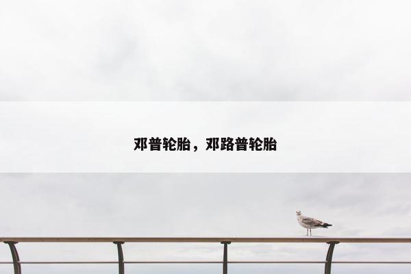 邓普轮胎，邓路普轮胎