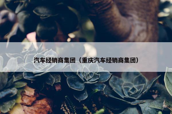 汽车经销商集团（重庆汽车经销商集团）