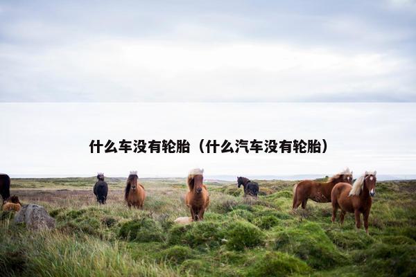 什么车没有轮胎（什么汽车没有轮胎）