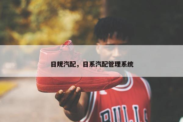 日规汽配，日系汽配管理系统