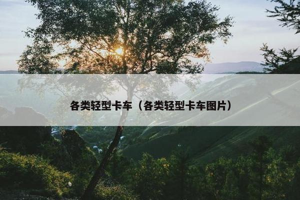 各类轻型卡车（各类轻型卡车图片）