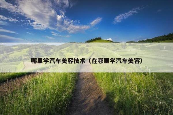 哪里学汽车美容技术（在哪里学汽车美容）