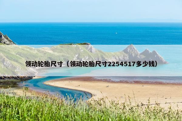 领动轮胎尺寸（领动轮胎尺寸2254517多少钱）