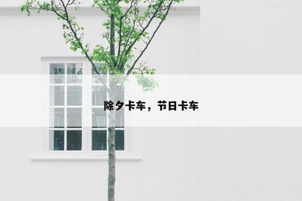 除夕卡车，节日卡车