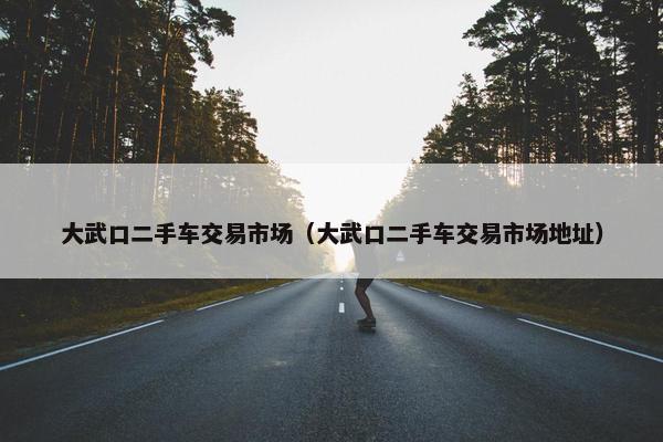 大武口二手车交易市场（大武口二手车交易市场地址）