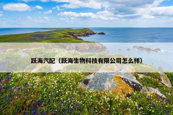 跃海汽配（跃海生物科技有限公司怎么样）