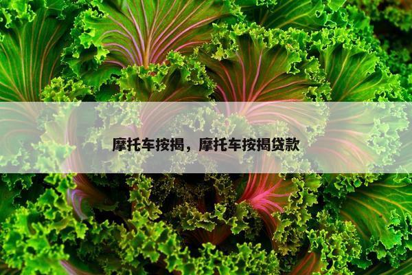 摩托车按揭，摩托车按揭贷款