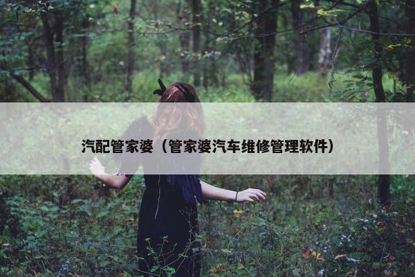汽配管家婆（管家婆汽车维修管理软件）