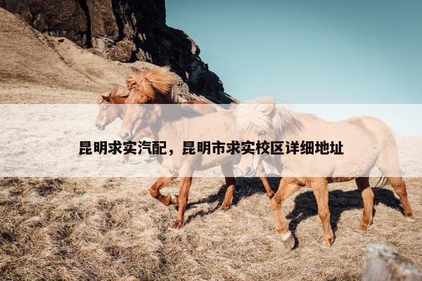 昆明求实汽配，昆明市求实校区详细地址