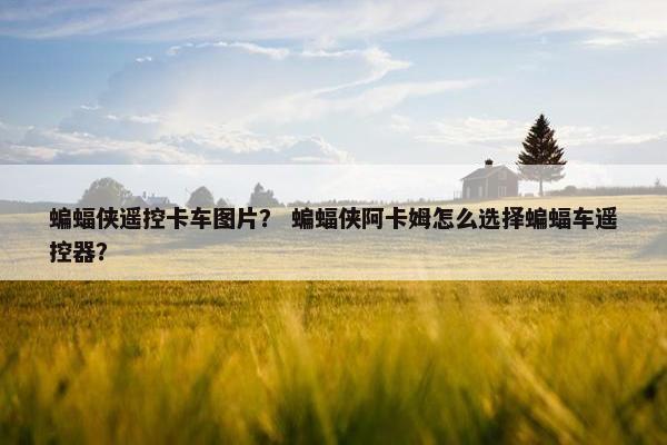 蝙蝠侠遥控卡车图片？ 蝙蝠侠阿卡姆怎么选择蝙蝠车遥控器？