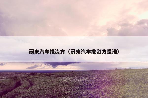 蔚来汽车投资方（蔚来汽车投资方是谁）