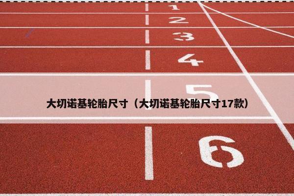 大切诺基轮胎尺寸（大切诺基轮胎尺寸17款）