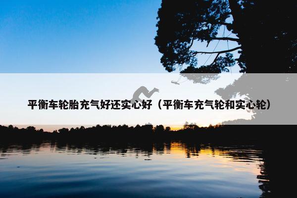 平衡车轮胎充气好还实心好（平衡车充气轮和实心轮）