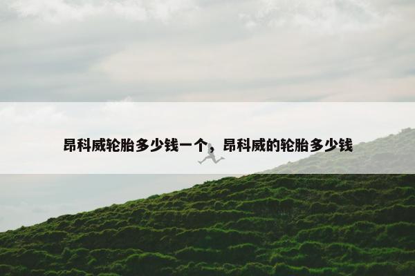 昂科威轮胎多少钱一个，昂科威的轮胎多少钱