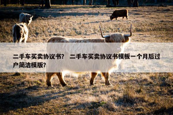 二手车买卖协议书？ 二手车买卖协议书模板一个月后过户简洁模版？