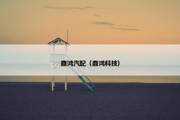 鼎鸿汽配（鼎鸿科技）
