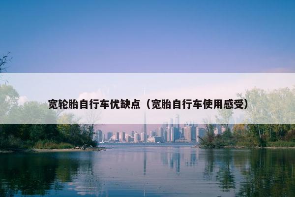 宽轮胎自行车优缺点（宽胎自行车使用感受）