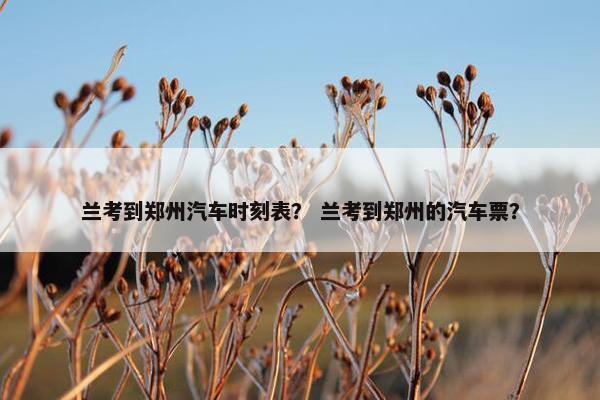 兰考到郑州汽车时刻表？ 兰考到郑州的汽车票？