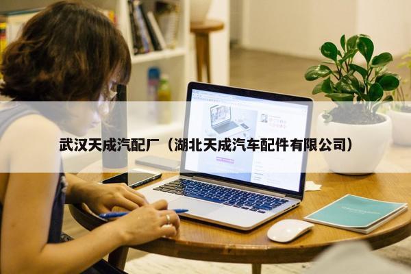 武汉天成汽配厂（湖北天成汽车配件有限公司）