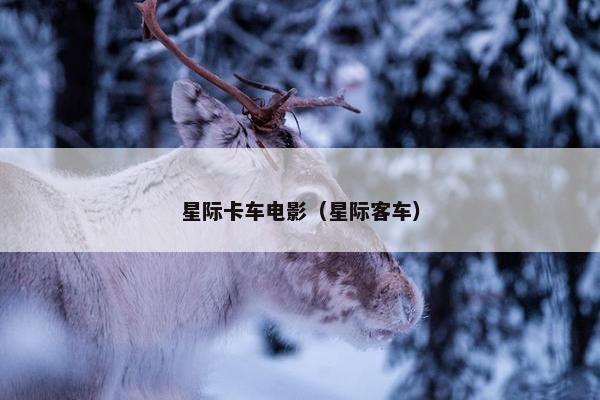 星际卡车电影（星际客车）