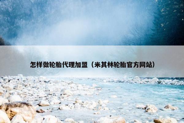 怎样做轮胎代理加盟（米其林轮胎官方网站）