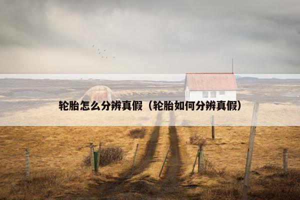 轮胎怎么分辨真假（轮胎如何分辨真假）
